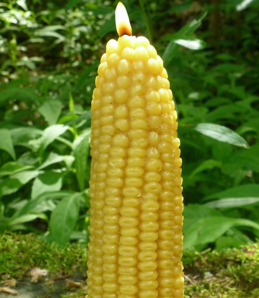 Corncob 100% Beeswax Candle